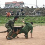 huan-luyen