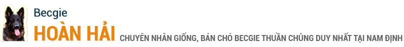 Becgie logo