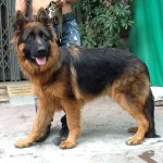 photo-13-26-01-06-11-2011